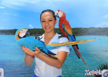 Opinion sobre Xcaret y debate legal