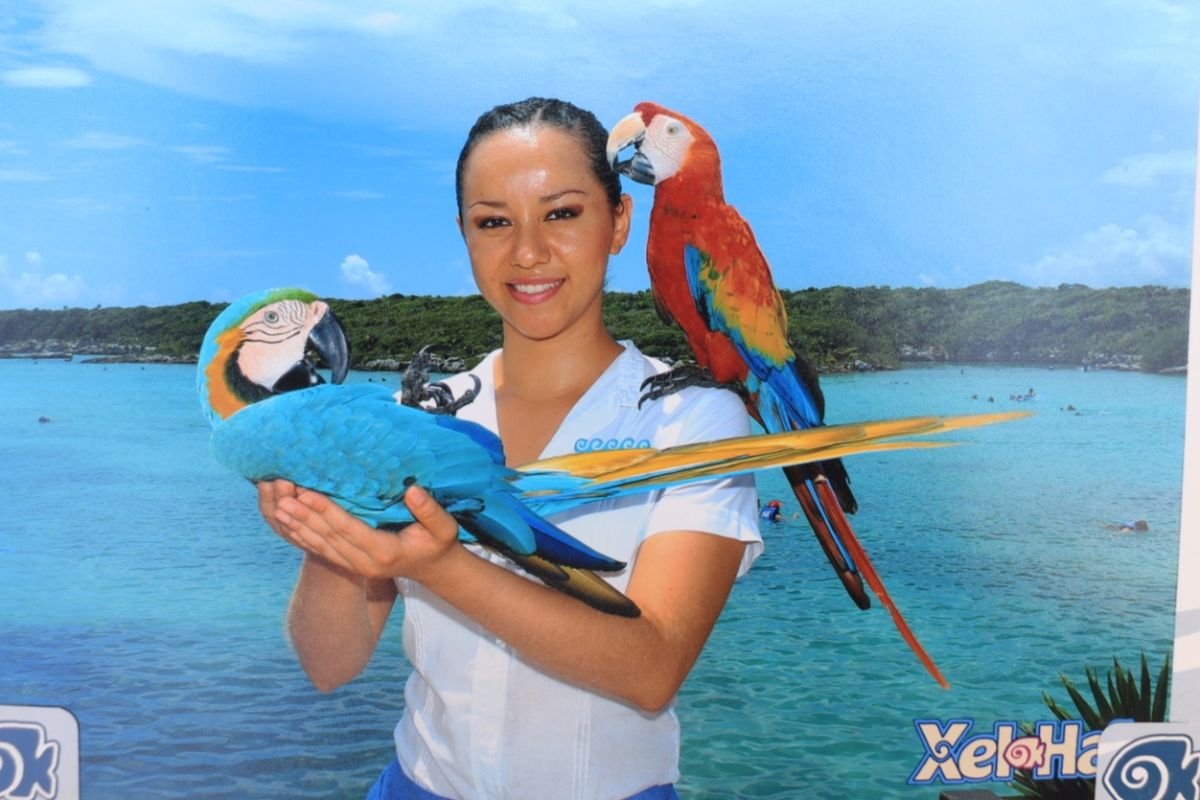 Opinion sobre Xcaret y debate legal