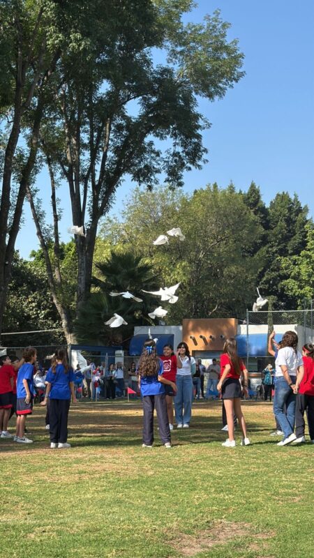 WhatsApp Image 2026 03 23 at 9.07.45 AM