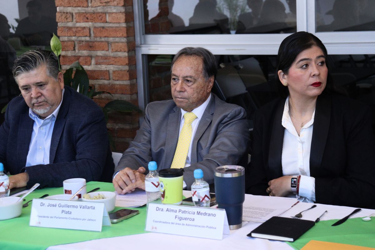 vallarta plata - garcia sotelo y alma patricia medrano