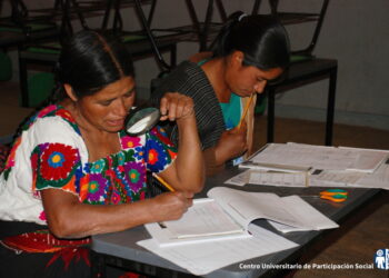 INDIGENAS 2