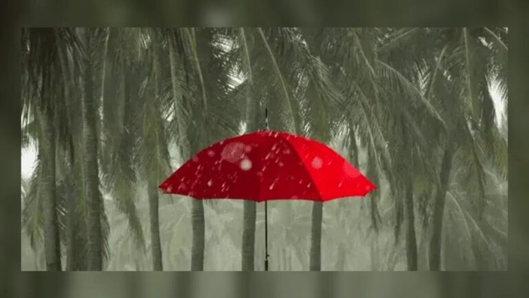 Huracán Polo: Jalisco en Alerta Ante la Rápida Intensificación del Ciclón Tropical