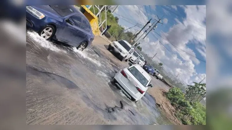 Inundaciones en Guadalajara y ZMG: El temporal de lluvias deja colapso vial y estragos