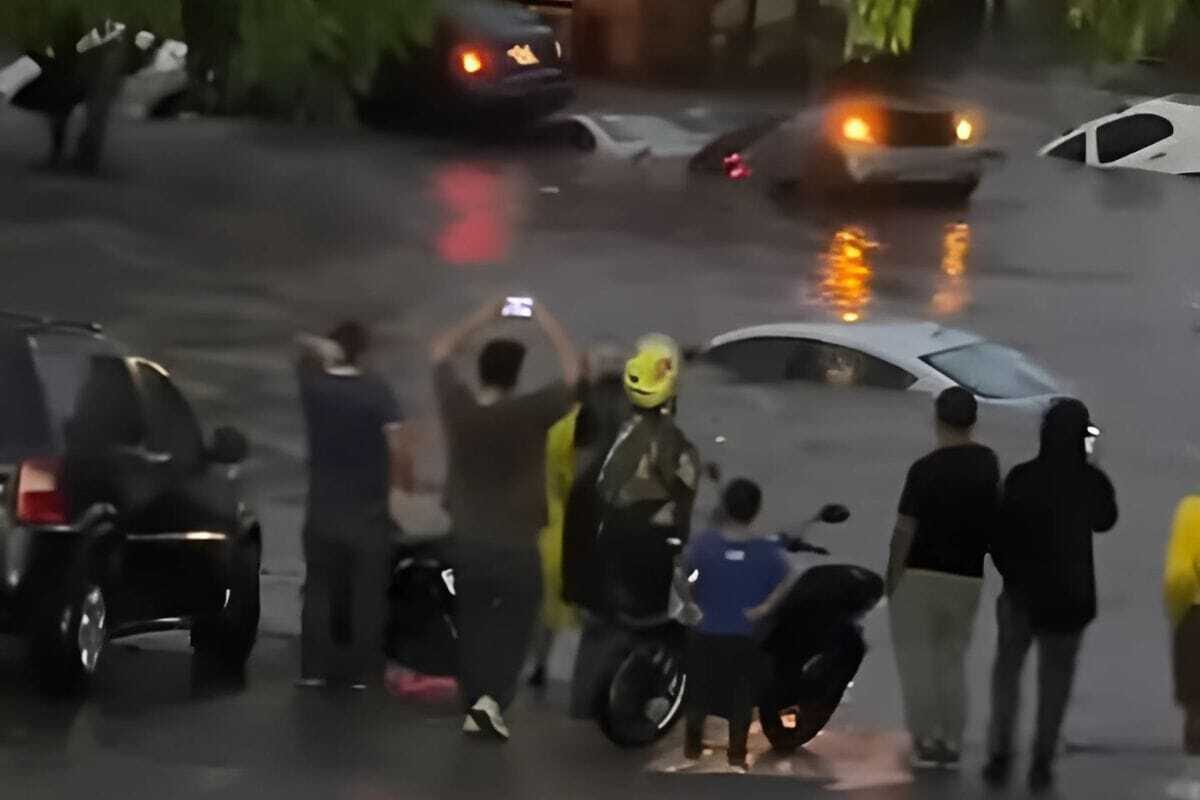 Árbol caído sobre vehículo estacionado en colonia de Guadalajara por temporal.