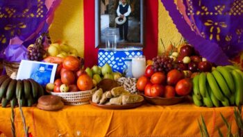 Alerta en panteones de Guadalajara: Riesgos sanitarios por alimentos y fauna nociva
